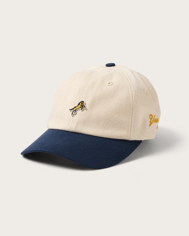 Hemlock Bozeman Dad Hat in Navy