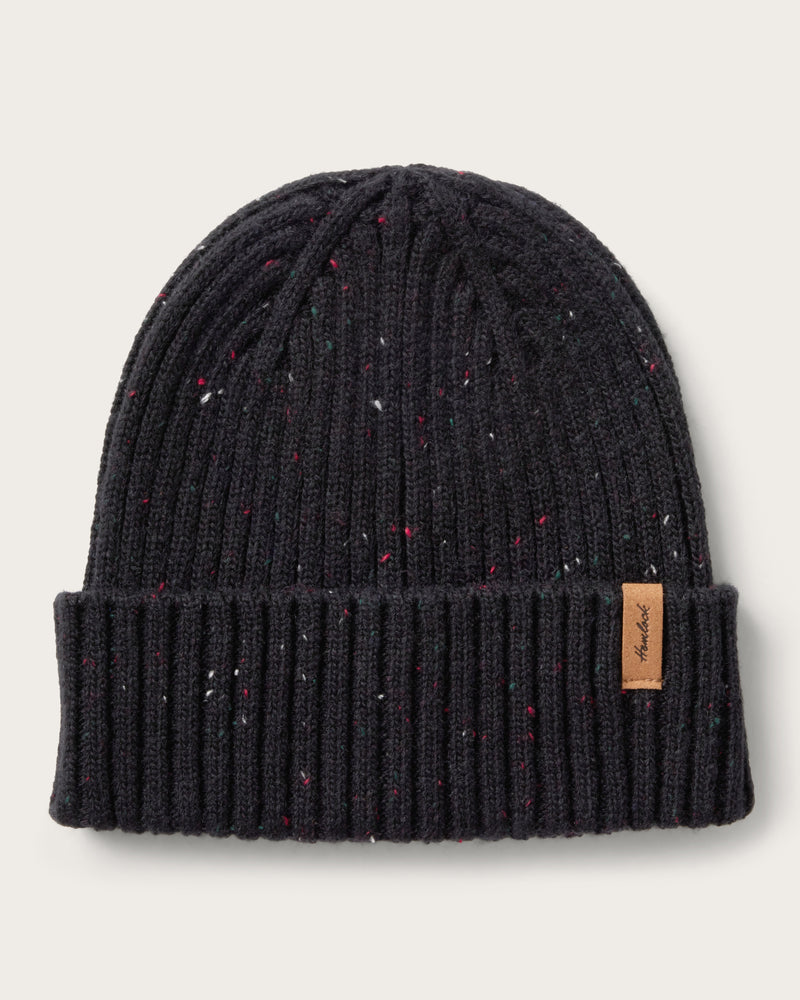 Hemlock Toddler Hawthorne Fleck Beanie in Black 