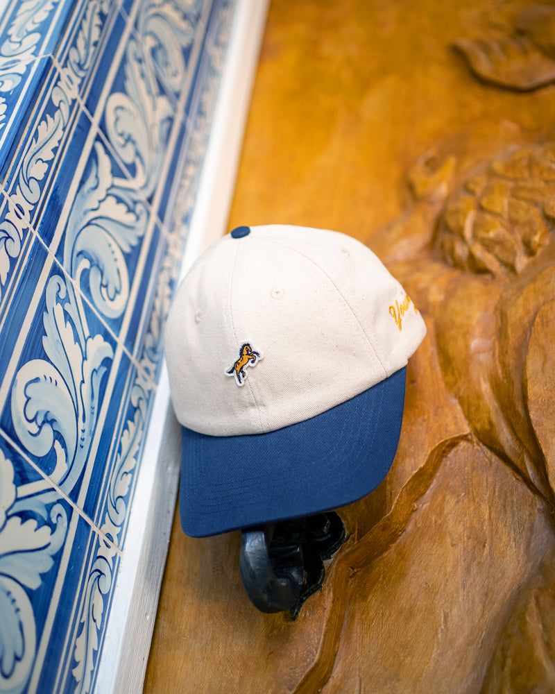 Hemlock Bozeman Dad Hat in Navy color hanging by a door