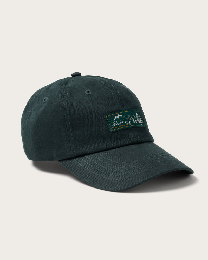 Hemlock Meadows Dad Hat in Forest Green side view